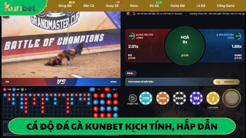 Trải nghiệm cá cược đá gà kiếm thưởng hấp dẫn tại nhà cái